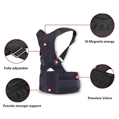 ORTHOPINE Orthopine Advanced Posture Corrector for Men & Women Universal fit Exclusive Double Strapping Contoured Lumbar Sacral Belt For Back Support Back Pain