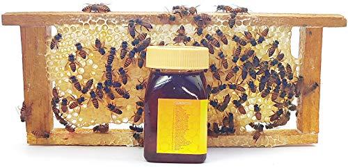 Queen Bees Honey Queen Bees Honey | 100% Pure India's No.1 Honey Brand | Original Honey | Organic Honey | Natural Honey | 100g