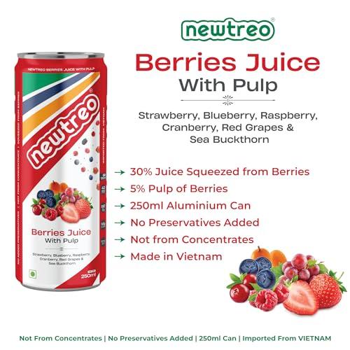 Newtreo Newtreo Berries Juice With Pulp | Imported from Vietnam | Strawberry, Blueberry, Raspberry, Cranberry, Red Grapes & Sea Buckthorn Juice | 12 x 250ml cans | No concentrates or preservatives added