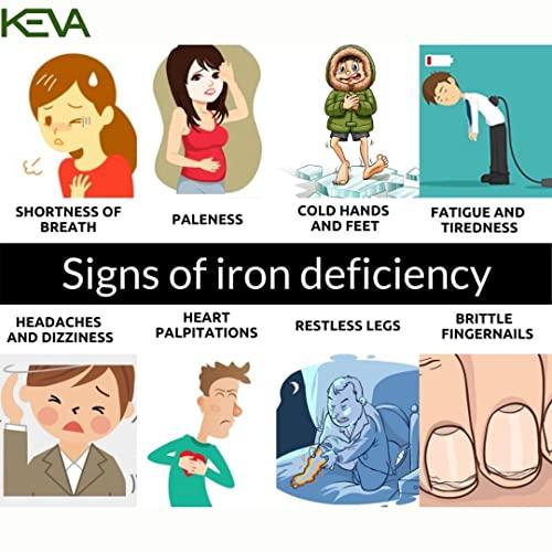 KEVA Keva HB Iron Tonic Syrup - Ayurvedic Iron Tonic Syrup Extract of Amla, Ashwagandha, Shatavari, Arjuna, Purnava, Bhringraj, Brahmi, Tulsi, & Shankhpuspi - Increase Iron for Men & Women 200ml