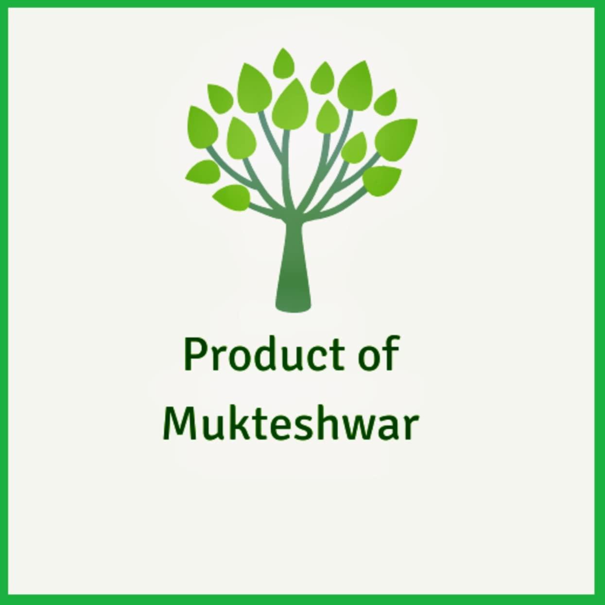 Taste Organic Taste Organic Amla (Gooseberry) Pickle (350 gm), Sidhe Pahad Se