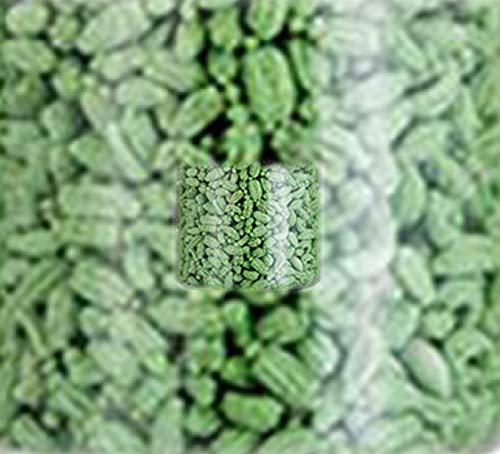 Shadani India Pvt. Ltd. Shadani Chennai Saunf 230 GMS .Dual Blast (Delhi Special)