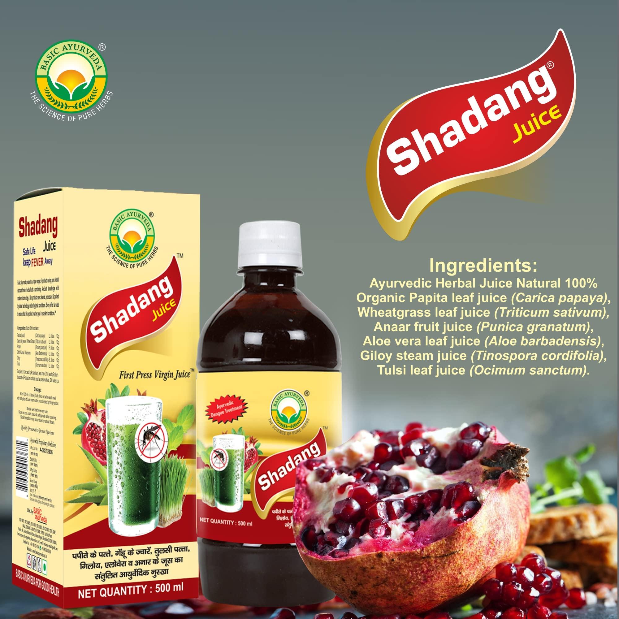 JRC JRC Chironji, Charoli Dry Fruits 100 Gms