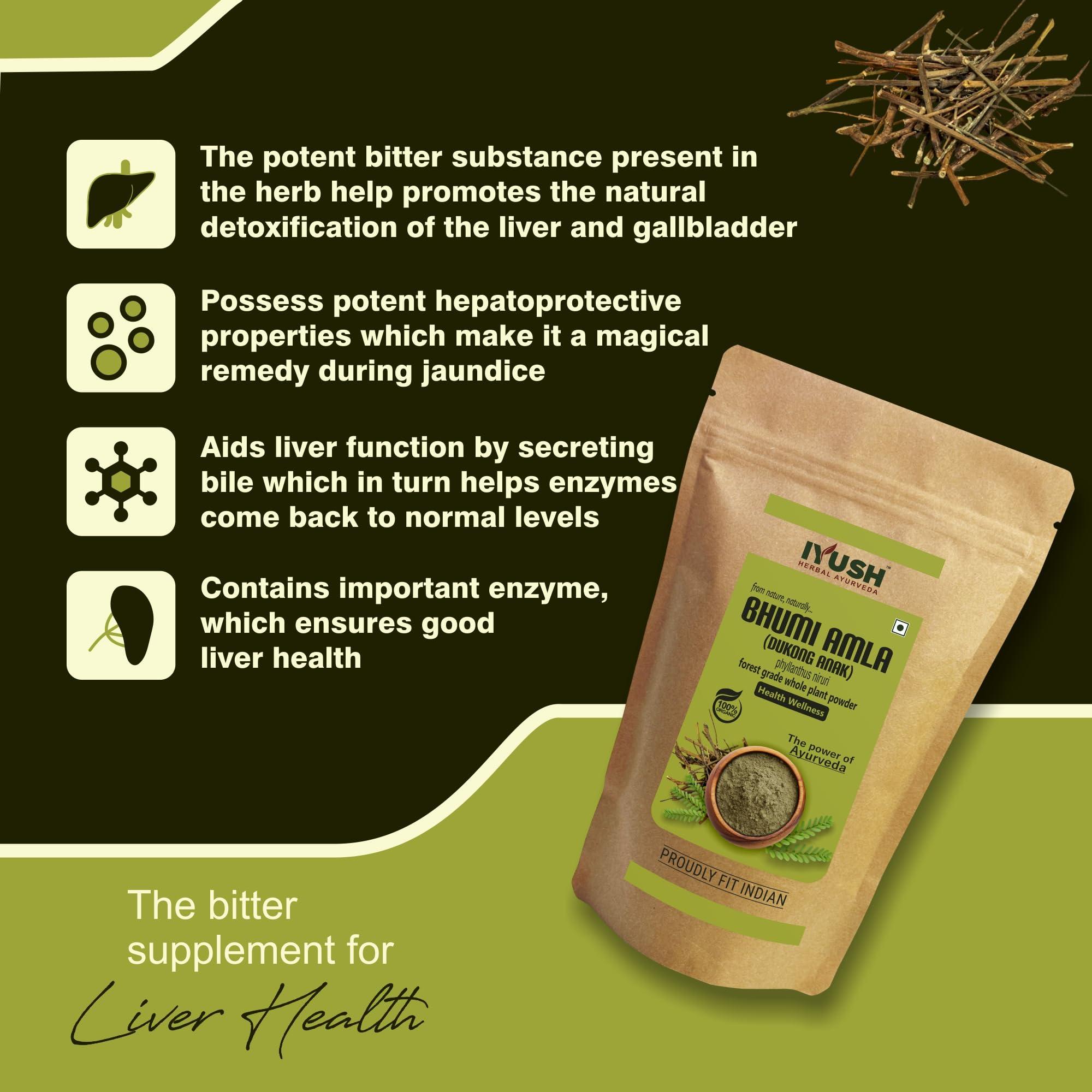 IYUSH Bhumi Amla Powder Organic, 900gm