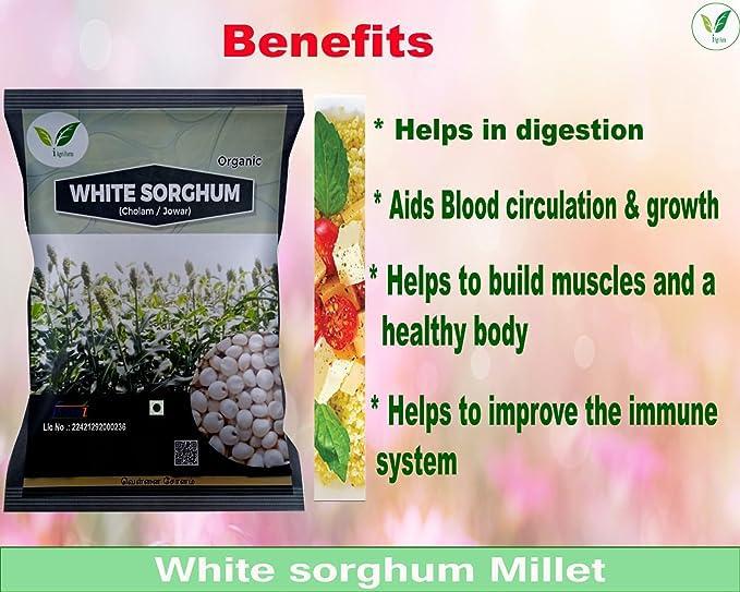 IAgriFarm Iagrifarm White Sorghum - 1 kg - Whole Grain/Cholam | Vella solam | Jowar | Jola | Jonna - High Protein & 100% More Fibre Than Rice
