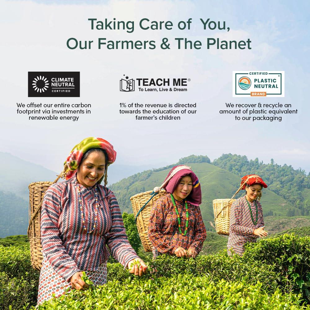 VAHDAM VAHDAM, Green Tea From Himalayas (50 Green Tea Bags) Non GMO, Gluten Free, Naturally High Grown | Whole Loose Leaf Tea Bags | Resealable Ziplock Pouch