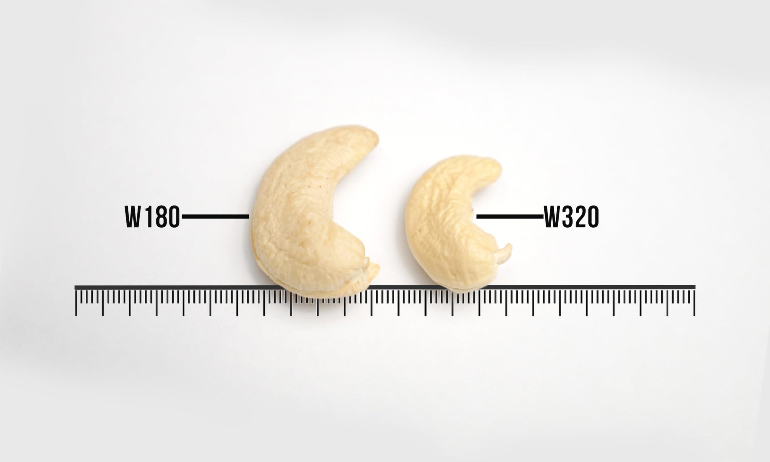 supreme cashew Supreme Plain Cashew | Kaju | whole Cashews 1Kg | Nutritious, Delicious & Crunchy Kaju | Tasty Sweet Cashews for Snacking (W320)