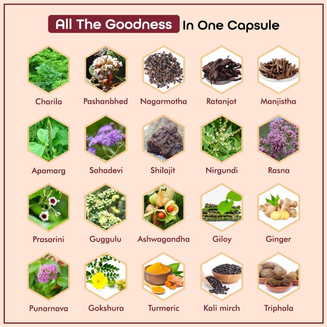 ad ALICANTO DRUGS Uric Acid Capsules, Herbal Joint Support Supplements, Uric Acid for Pain Relief, Ayurvedic Proprietary for Gout pain Joint Support