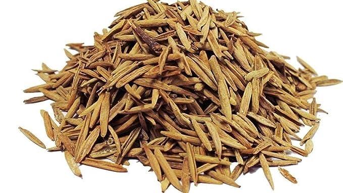 Generic Indrajav - Indrajau - Indrajav Seeds(Kadwa)-Holarrhena Pubescens Seeds (500 Gms)