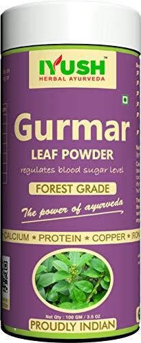 IYUSH Herbal Ayurveda IYUSH Herbal Ayurveda Gudmar/Gurmar Powder - 100gm