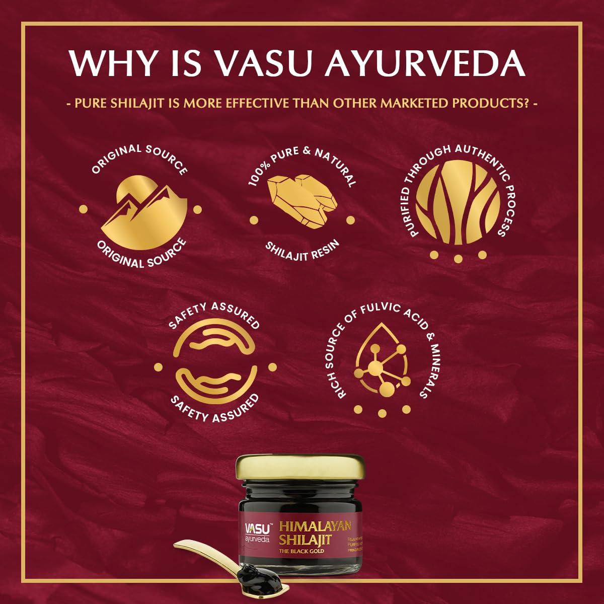 VASU VASU Ayurveda Pure Himalayan Shilajit Original Resin | Provides Energy & Strength | Powerful Anti-oxidant | Immunity Booster - 20g