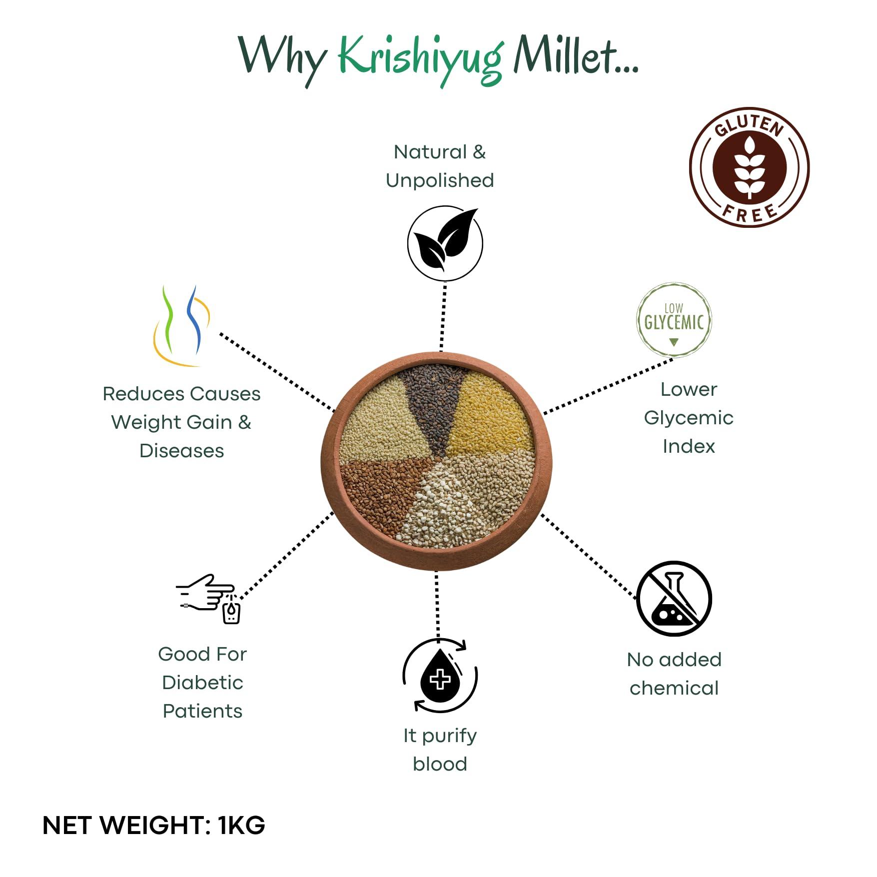 KRISHIYUG KRISHIYUG Nutritious Grain Unpolished Raw Kodo Dhanya Millets | Kodra, Haraka, Varagu, Arikalu | Raw Unpolished Grain Millet (1Kg)