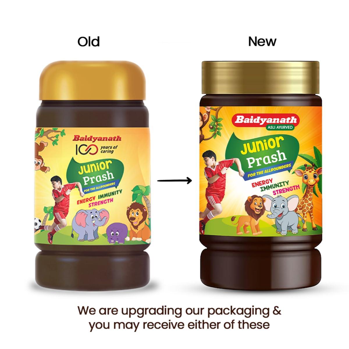 Baidyanath Baidyanath Junior Prash - 500g, Specially Formulated Chyawanprash for Kids
