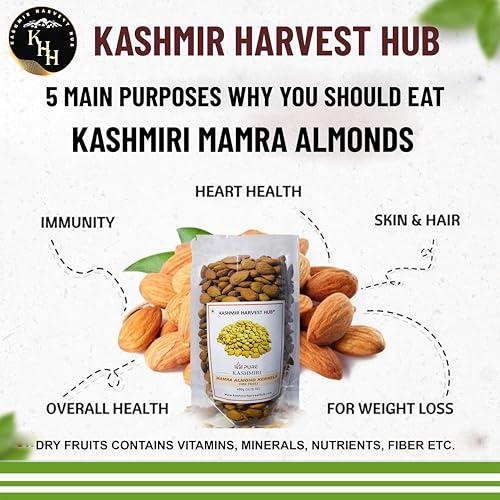 KASHMIR HARVEST HUB Kashmir Harvest Hub Pure Kashmiri Mamra Almonds - 400g | 100% Natural | Authentic | Organic | A++ Grade | Rich Oil Content (Pack of 1)