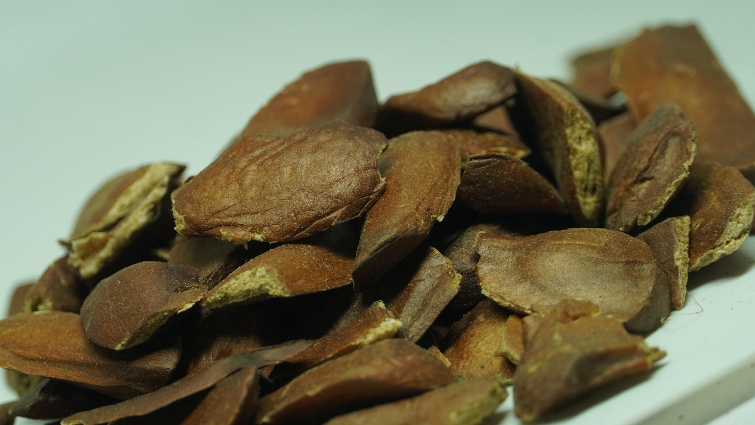 THOGAI THOGAIS -THEN KAI- Sky fruit/Thaen Kai/Swietenia Macrophylla/Thenkani Vidhai/Kadwa Badan/Mahogany/ (250 GRAMS (PACK OF 1))