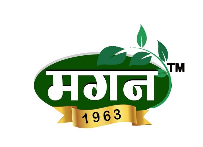 Magan Magan Jaljeera Masala 200gm | 100% Natural Ingredients | Refrenshing Drink | Summer Drink | Rich in Vitamin C | Best for Acidity