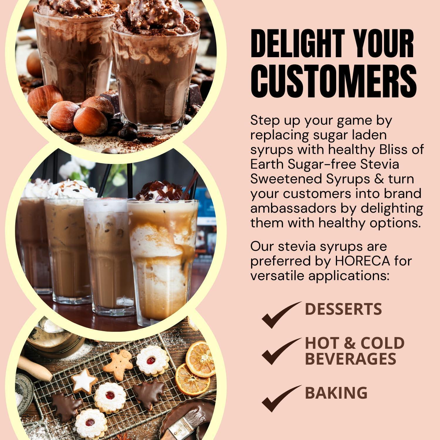 BLISS OF EARTH Bliss of Earth Sugarfree Chocolate Syrup, for Hot Chocolate, Coffee, Milkshake, Chocolate Syrup with Real Cocoa Powder. Zero Calorie, Diabetic Safe & Keto 500ml (Pack of 2)