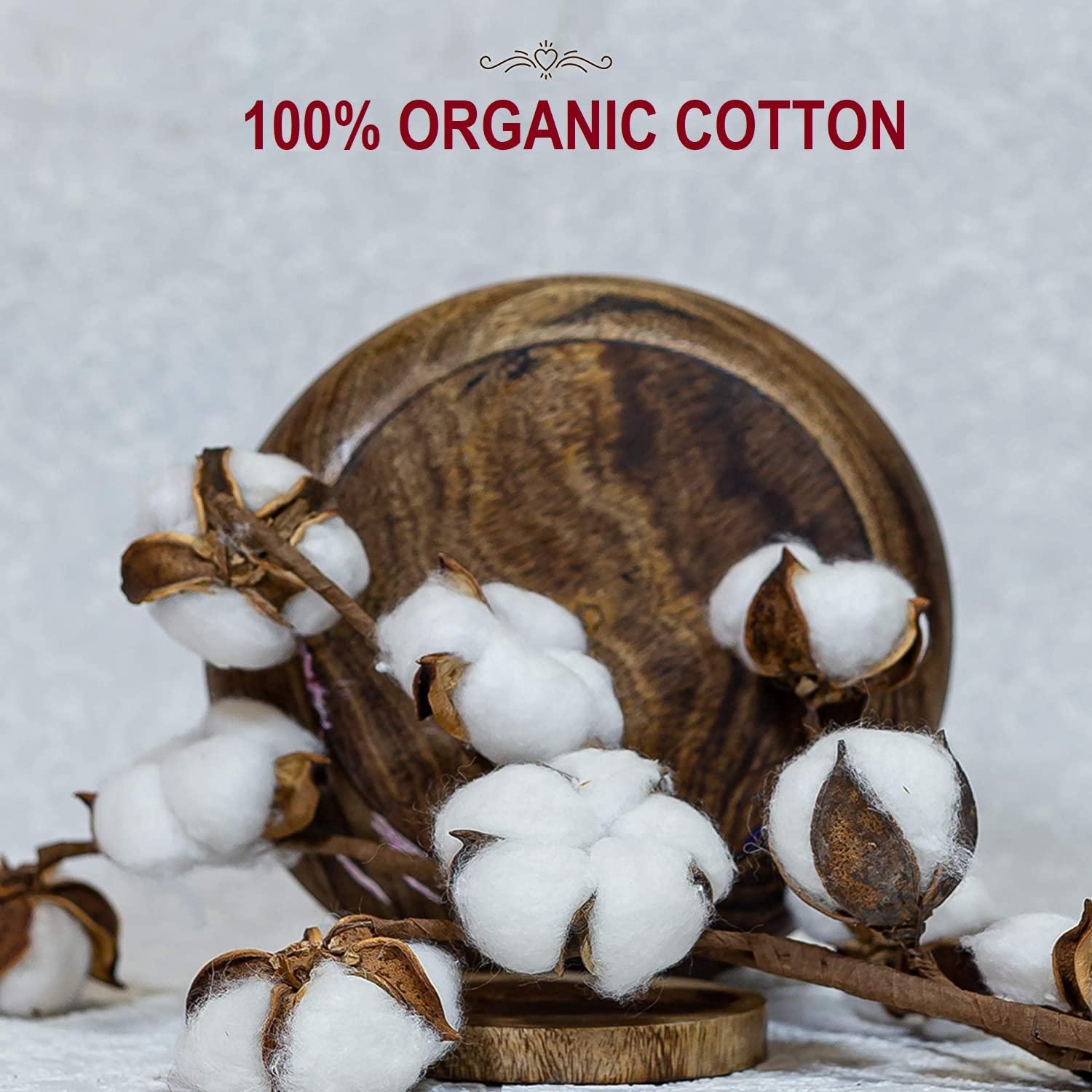 ERHETUS ERHETUS Biodegradable Bamboo Sanitary Pads for Women, Pure Organic Cotton Base Sanitary Napkins | Chemical & Fragrance Free, Soft, Ultra-thin, High Absorbent - 92 Pads (XL, 290mm, Pack of 4 * 23 pad)