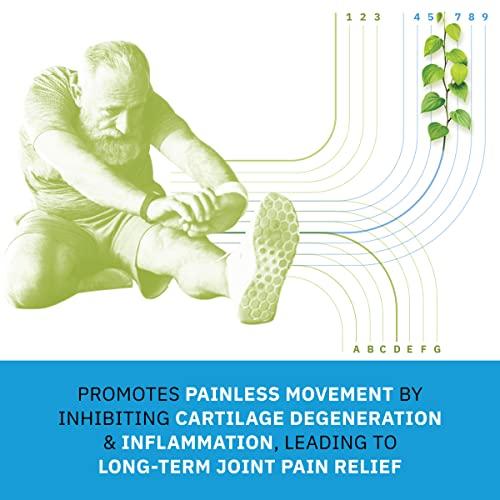 AlchemLife AlchemLife Flexiqule Emollient For Instant Relief From Joint Pain and Stiffness, 30 ml (Pack of 5)