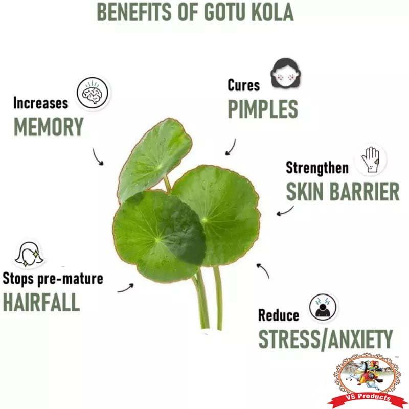 VS Products VS Products Vallarai Powder, 700g, Centella Asiatica, Gotu Kola Powder, Pennywort, Brahmi Booti, Saraswati, Vallarai keerai Powder, (pack of 7 x 100g)