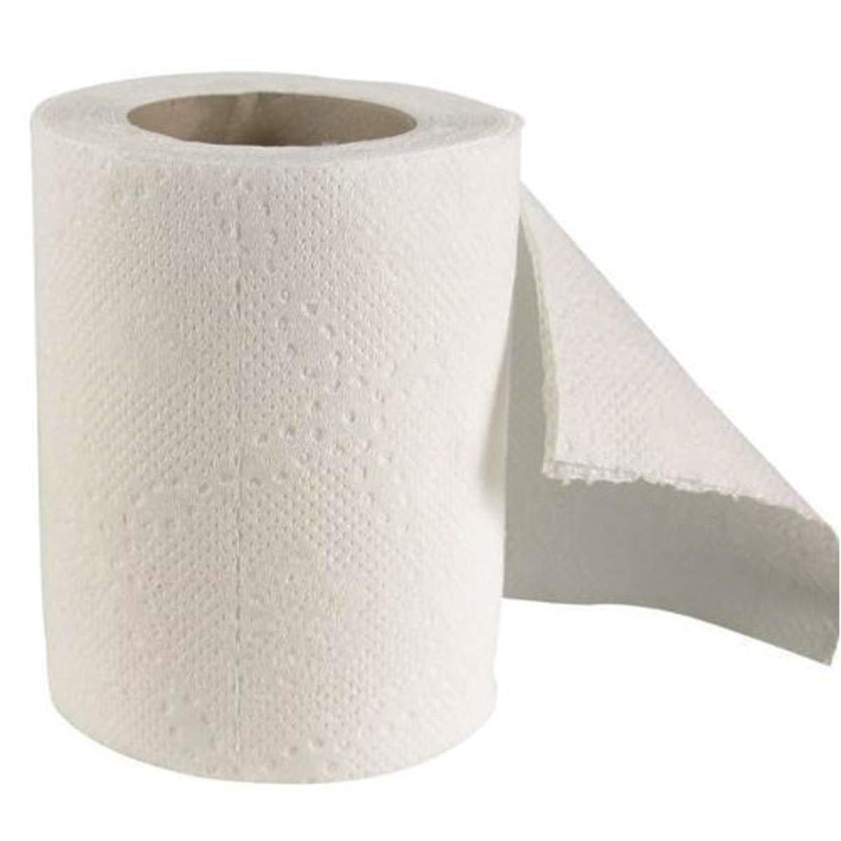 Generic Generic 2 Ply Paper Toilet Tissue Roll 10 x 10 cm 300pulls White Pack of 16 Rolls.