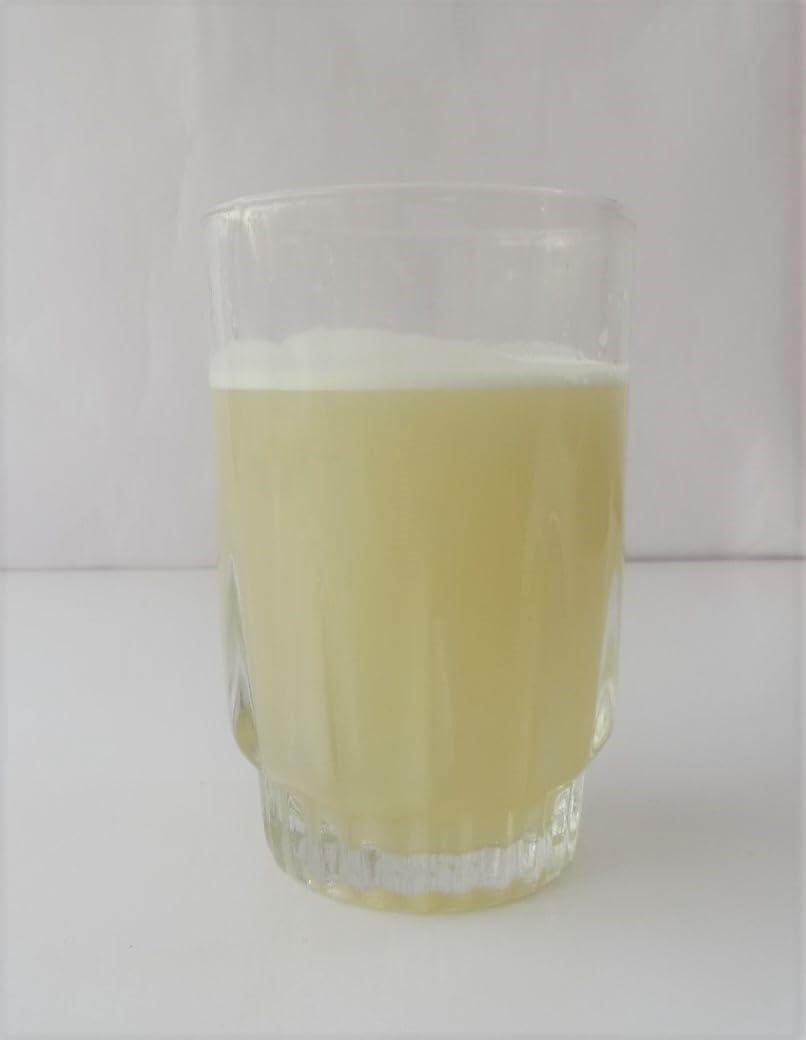 Holy Natural - The Wonder of World Holy Natural Sugarcane Juice Spray Dried Powder Taste Like Natural - 1 KG