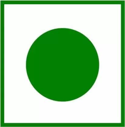 Generic Prime Drink Sports & Energy Drink Is Loaded With Electrolytes With Zero added sugar By ksi & Logan Paul 500 ml (Ice Pop)