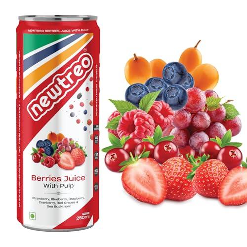 Newtreo Newtreo Berries Juice With Pulp | Imported from Vietnam | Strawberry, Blueberry, Raspberry, Cranberry, Red Grapes & Sea Buckthorn Juice | 12 x 250ml cans | No concentrates or preservatives added