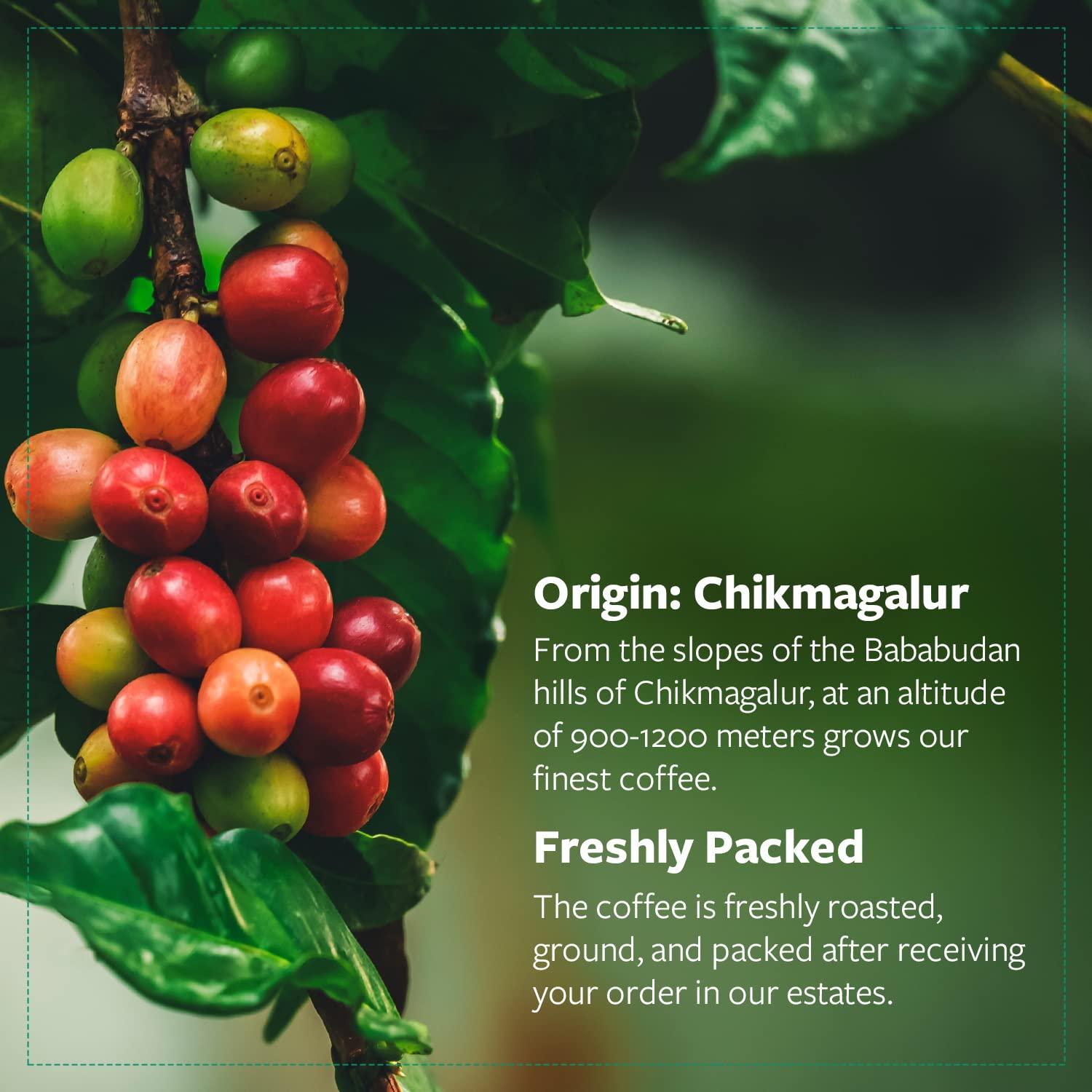 Cafe Coffee Day Cafe Coffee Day Peaberry 200 Gm Each Packet (Packet Of 4) | Filter Coffee Powder |Perfect For Black Coffee | 100% Pure Peaberry Coffee Powder, Medium To Dark Roast | South Indian Filter Coffee Powder