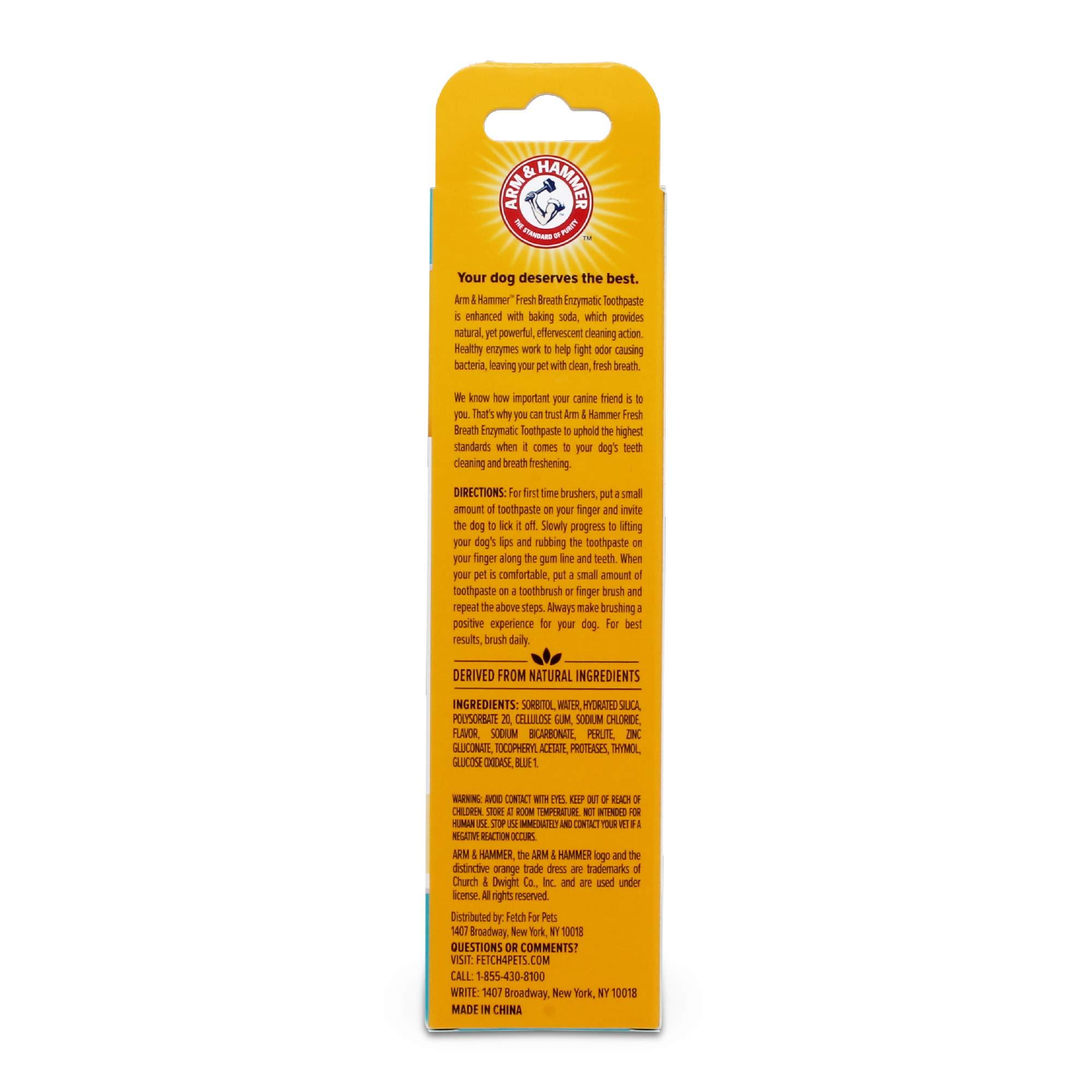 Arm & Hammer Arm & Hammer Clinical Care Enzymatic Toothpaste Gel - Vanilla Ginger