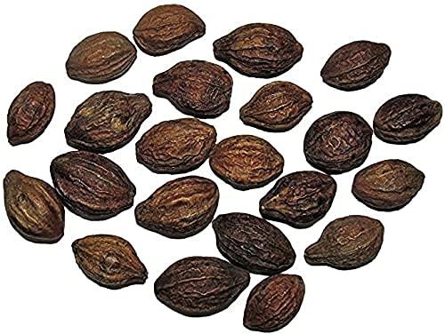 Jhai Kal Jhai Kal Dried Whole Haritaki Harad Harre Harde Terminalia Chebula Harda Kadukkai Karakkaya 200 gm