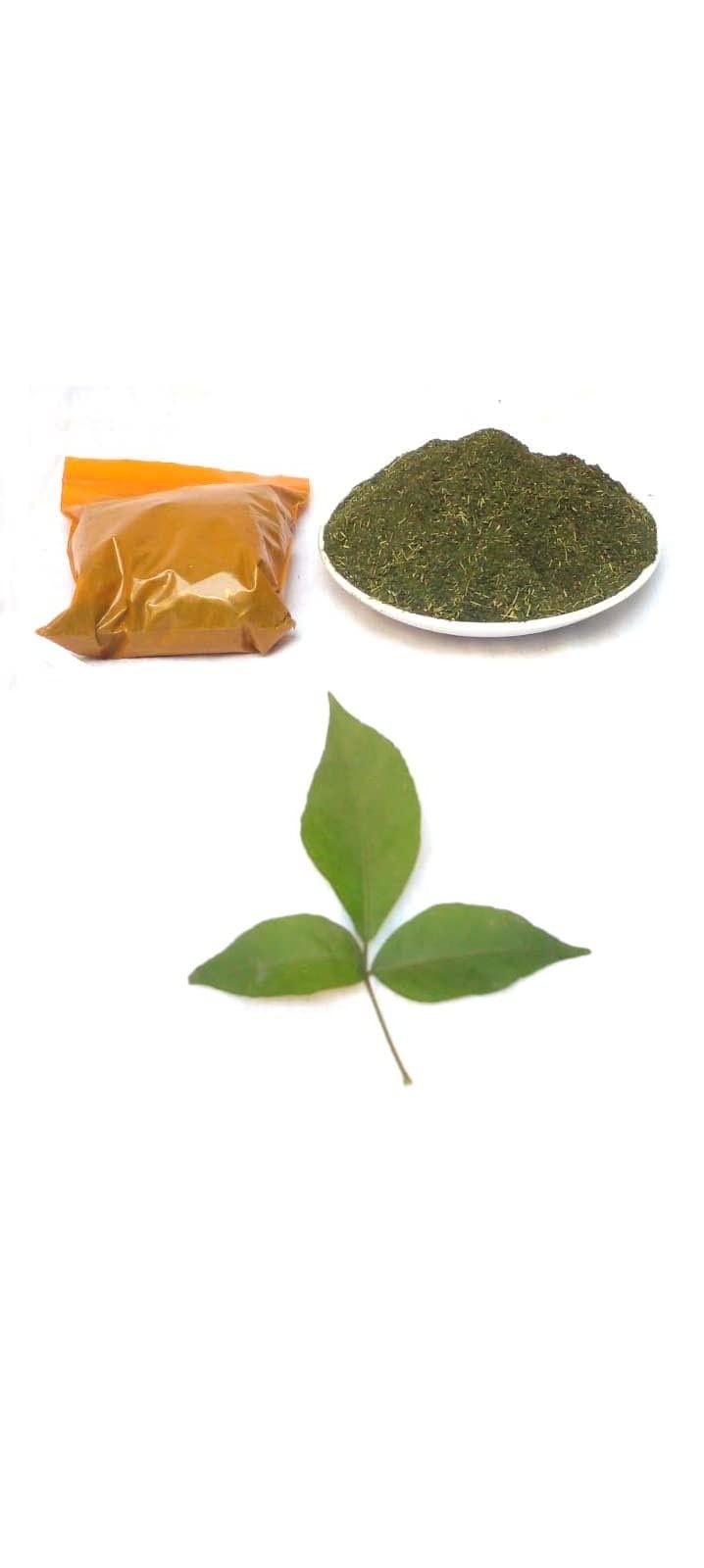 Generic Li6 Bel Leaves Powder (100 Grams) Sirfal, Maredu, Beel, Bael, Vilvam, Sirphal Ki Patti, Patte, Patta Ka Powder - Bilva Leaf Powder