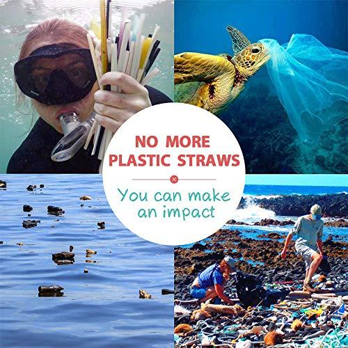 ANAB GI ANAB GI Reusable Straw Collapsible Metal Drinking Straw Portable Straw with case (Silver)