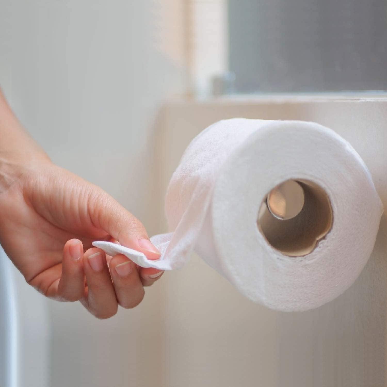 PASEO Paseo Toilet Tissue 2 ply Toilet Paper 10 Toilet Rolls x 200 Toilet Tissue Sheets Sheet Size 11 x 9.9 cm