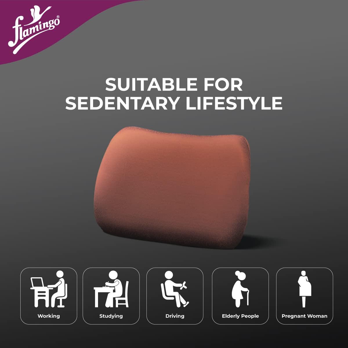 Flamingo Flamingo Orthopedic Backrest Pillow | Memory Foam Back Rest Cushion for Pain Relief | Lumbar Support Backrest Cushion for Office Chairs & Cars | Maroon | Small