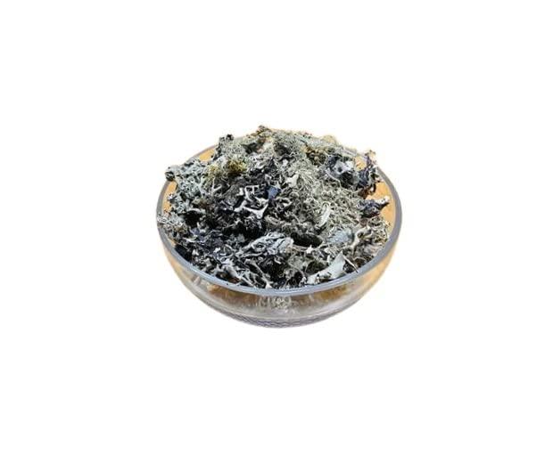 Ayushiv Ayushiv CHADILA (Parmelia Perlata) - STONE FLOWER- CHAD CHADILO- PATHAR KE PHOOL- CHADILA PATHAR PHOOL (400)