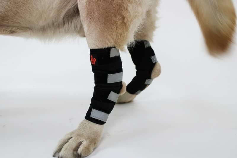 Lana Paws Lana Paws Dog Back Leg Slpint Braces for Hock Joint Support, Ankle Support & Mobility, S, Left Leg