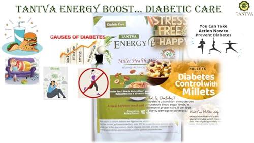 Tantva TANTVA Diabetic Care Energy Boost Health Mix | Multi Millet Multi Grain Dry Nuts | With 45 Natural Healthy Ingredients | Gluten Free | Sugar Free | Tasty | Healthy | 500 gms
