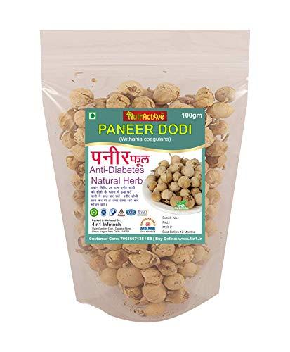 NutrActive Nutractive Paneer Dodi/Paneer Doda - 100 gm