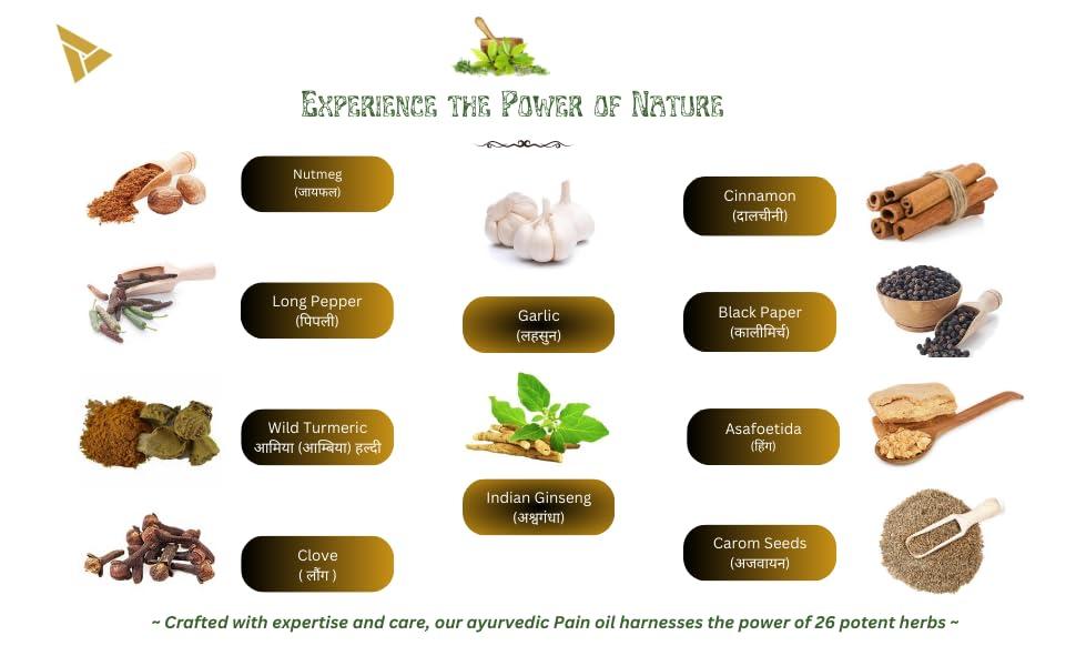 UBHAYAM Ubhayam Pain Relief Elixir | Ayurvedic & Handmade Pain Relief Oil with Cinnamon, Clove & Sesame Oil (100 ml)