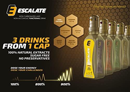Healthn More Wellness... Vital Studio Escalate Sugar Free Energy Drink | Exotic Three Flavours | Performance Booster | Premium Pre-Workout Fuel | 100% Natural Plant Extracts | No Preservatives | for Athelets| 3 Caps( 9 Doses, 375ml Each)