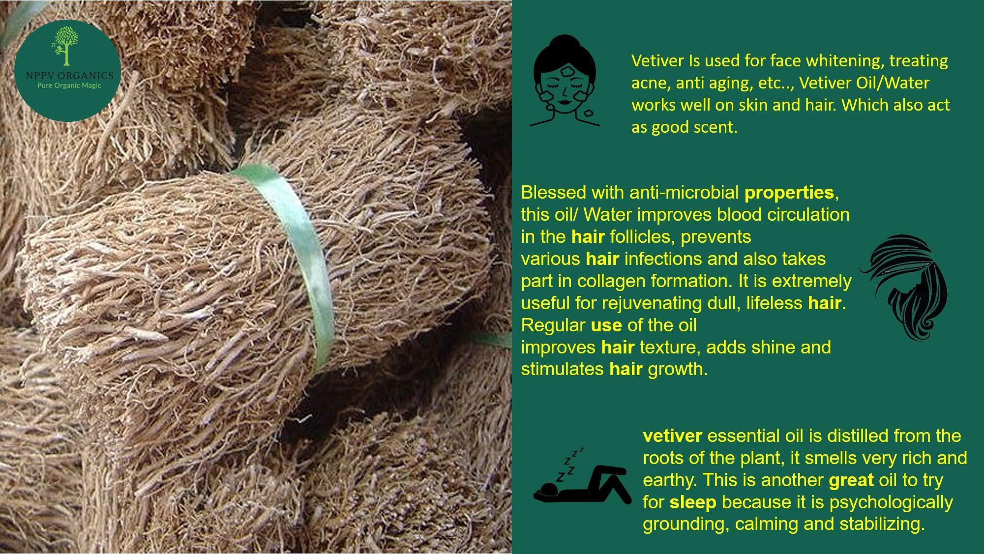 NPPV ORGANICS NPPV organics vetiver/Chrysopogon zizanioides/cuscus grass root 100% Pure & Organic (250 g)