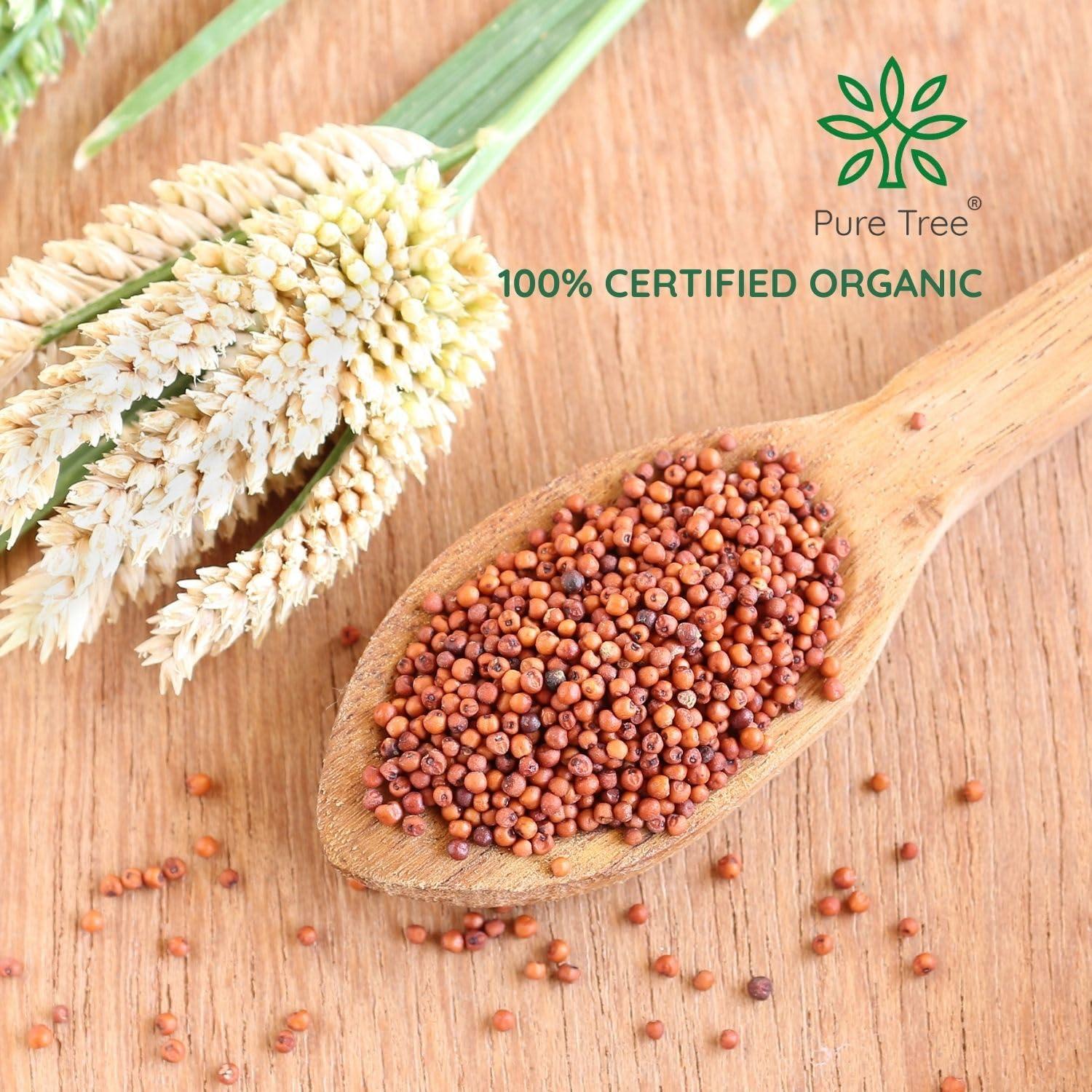 Pure Tree Pure Tree Certified Organic Ragi Whole | 900 g | Finger Millet | Nachni | Nagli | Ragi Millet Gluten-Free | Bavto | Red Finger Millet | Ragi Whole Grain