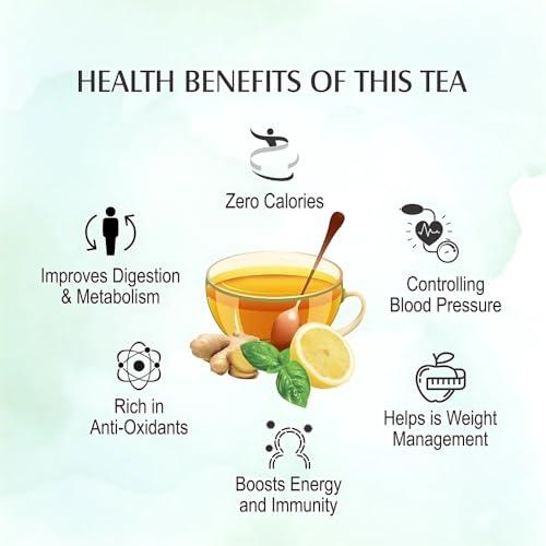 NORWORLD Green Tea Tulsi for Weight Loss | Anti-Oxidants Rich | Immunity & Digestion Booster Premium Leaves (25 Tea Bags)