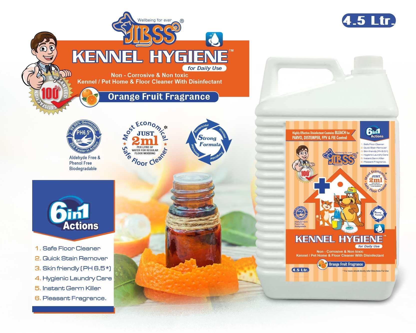 Lobe Wonder Lobe Wonder (60 Paches) Comfortable Ear Lobe Support Patches for Heavy Earrings | Set of 60 with Earlobe Repair Solution