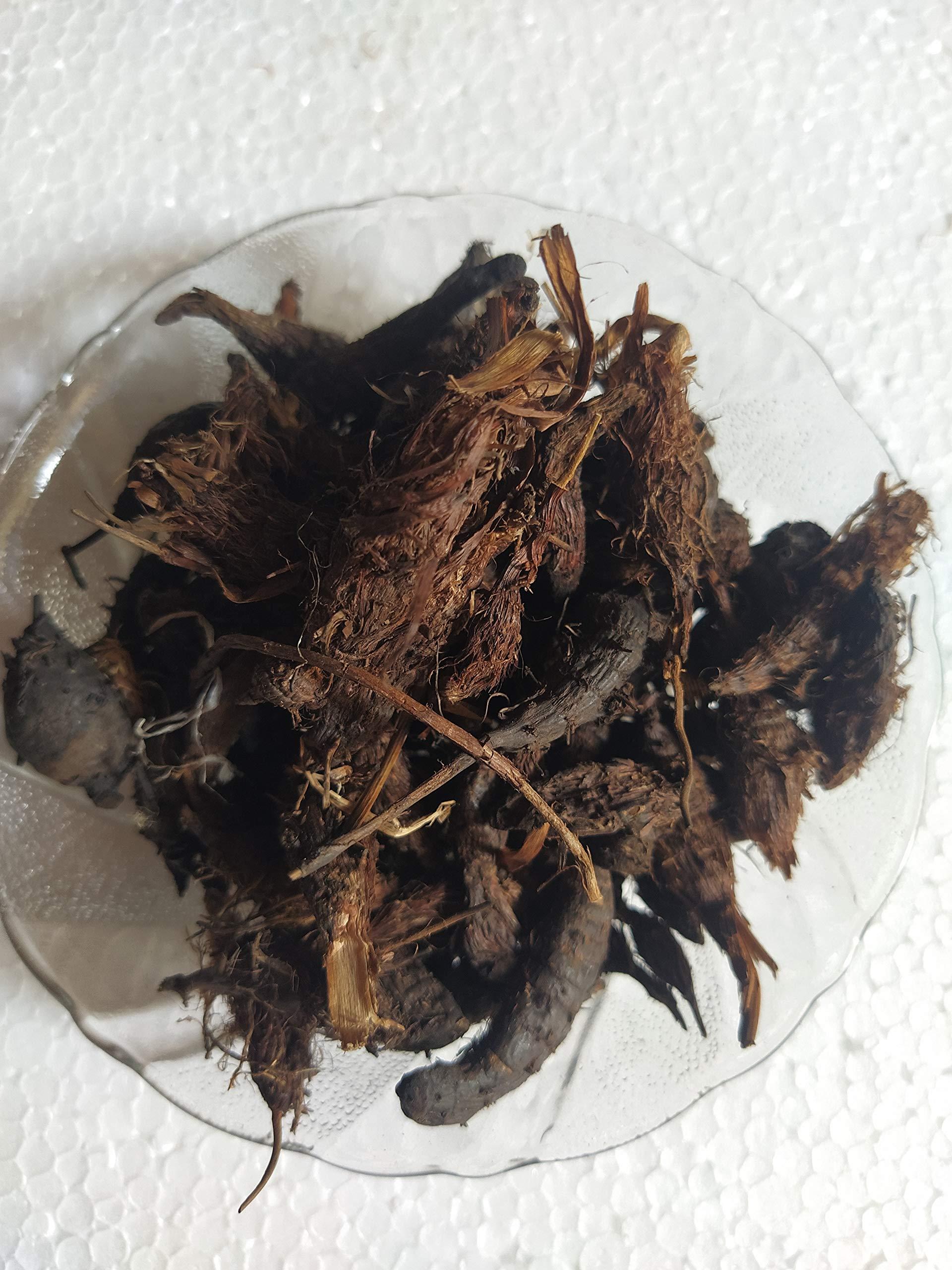 Ambe Store Ambe Ayurveda - Nagarmotha Raw - Mustak - Cyperus Rotundus - 100gm