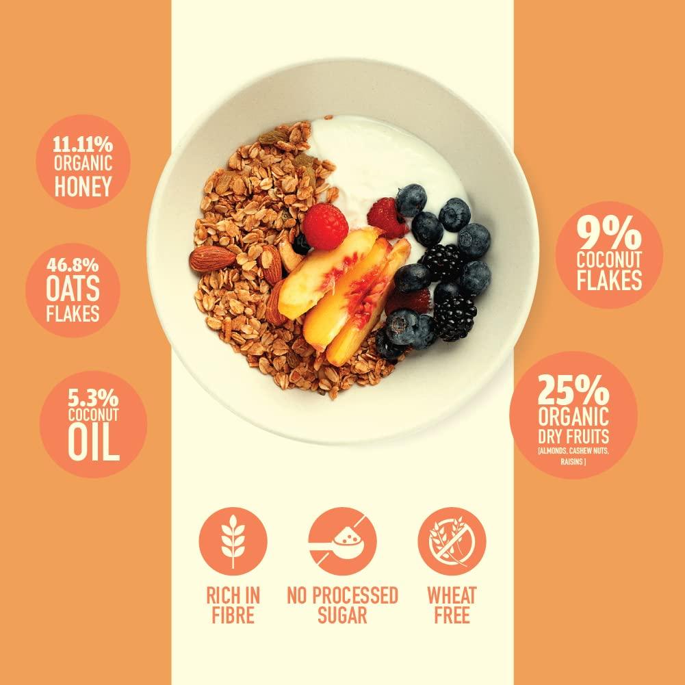 Nourish Organics Nourish Organics Cinnamon Oats Granola, 270g Pack | Healthy and Nutritious Breakfast Cereals with Whole Nuts | No Refined Sugar | Clean Label