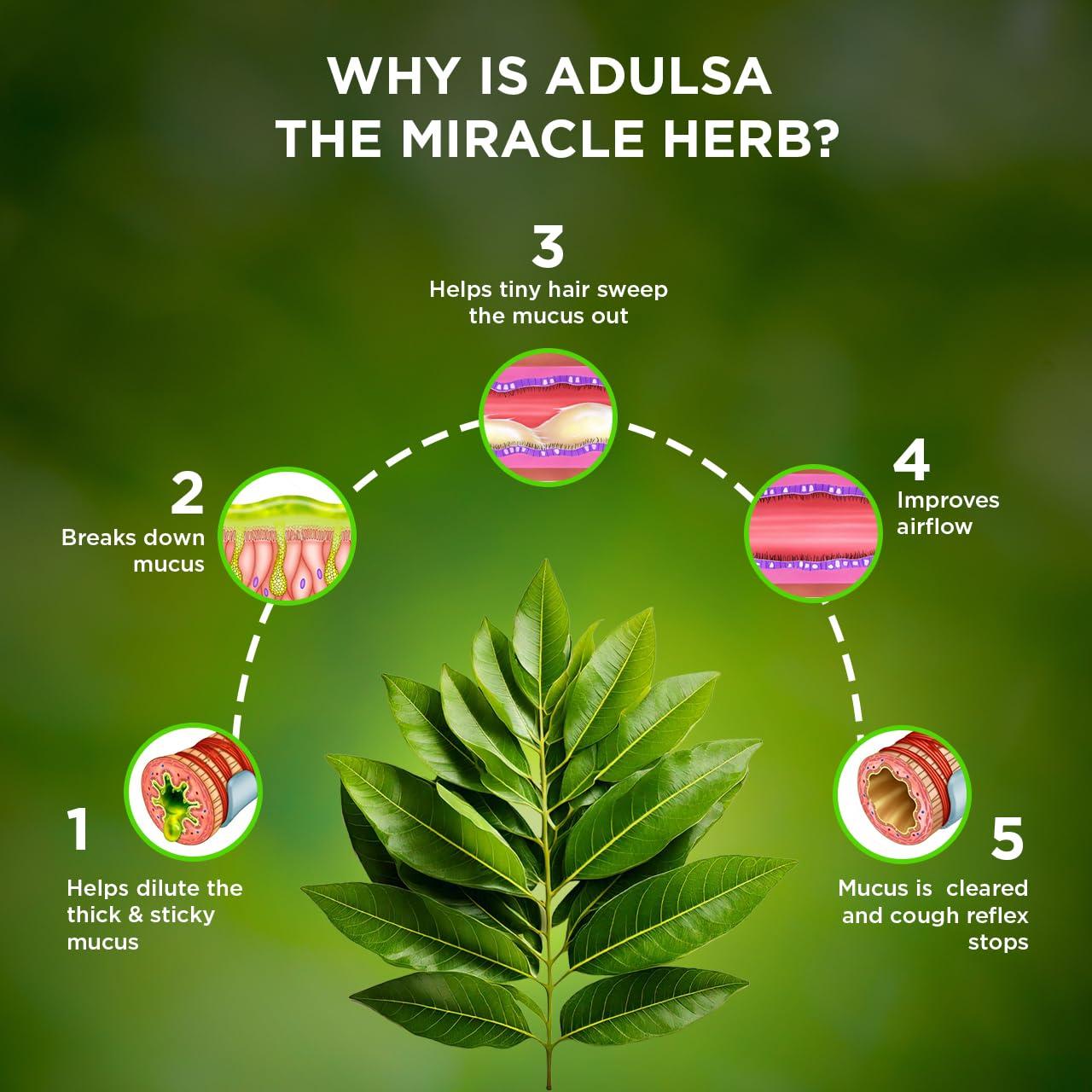 AYUSAS AYUSAS Sapat Adulsa Cough Syrup, Paraben Free, Child Safe, Triple-action formula,100% Natural for Wet and Dry Cough, (200 ml) (Pack of 2)