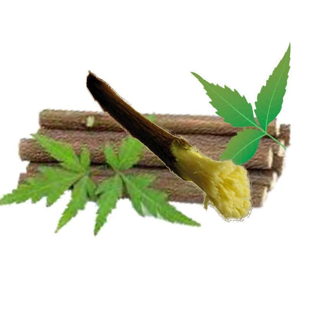 santarms Santarms Ayurvedic Natural Organic Fresh Neem Stick Datun Toothbrush Nim Tree Twigs Chew Sticks For Brushing Teeth Removes Bad Breath PACK OF 50 STICKS