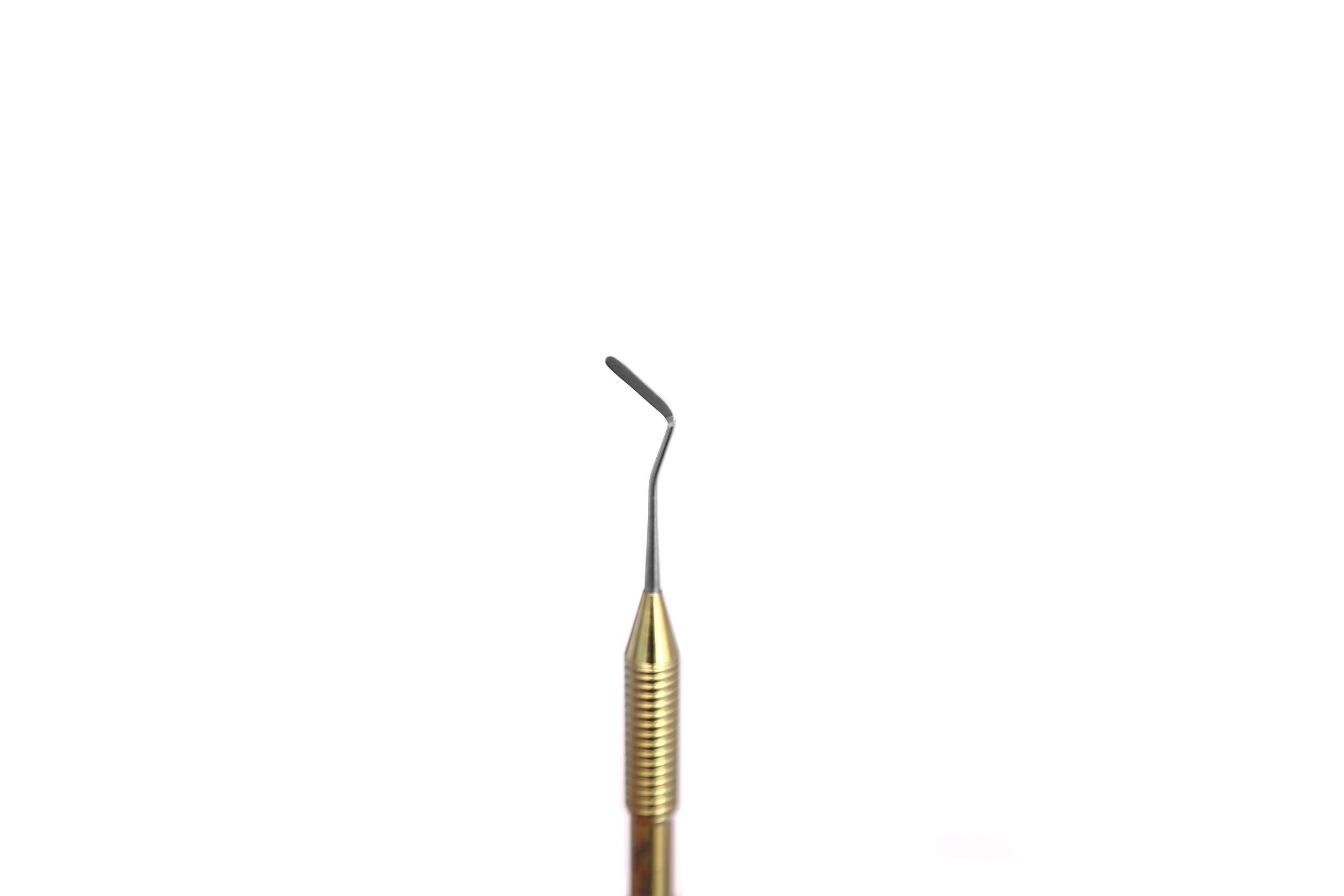 SS WHITE SS WHITE - Dental Plastic Filling Titanium Hand Instruments Double Ended Plugger –Composite Instrument (04-03)